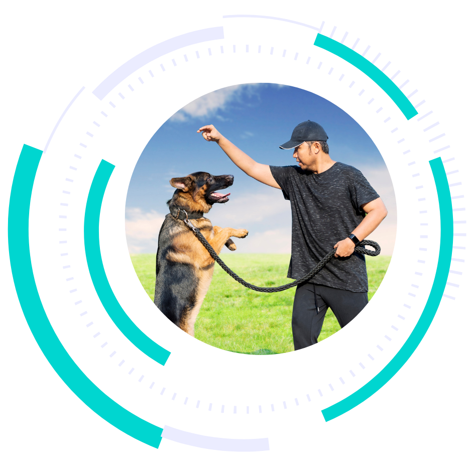 boost local digital marketing services for dog trainers - pet industry marketing