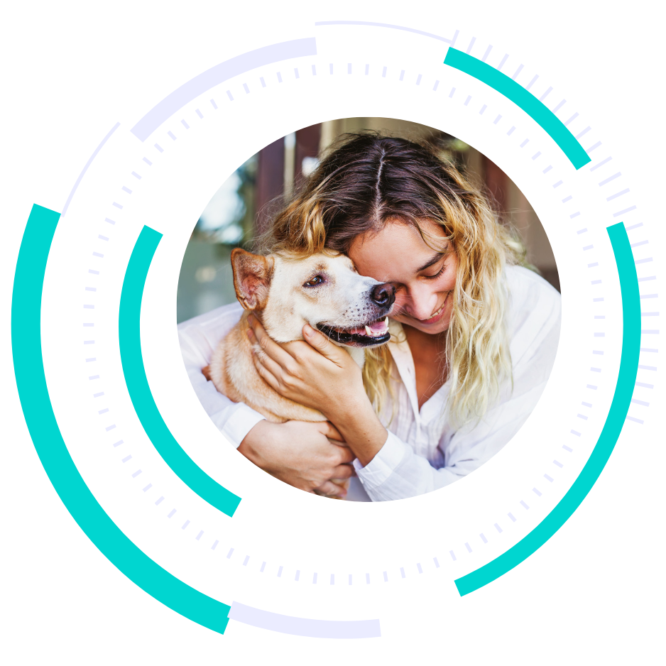 pet boarding marketing - marketing services for pet boarders - boost local small business marketing agency