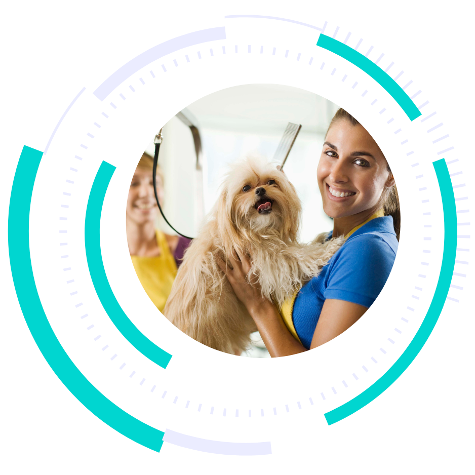 pet grooming marketing - marketing for dog groomers - marketing for cat groomers - boost local small business marketing agency